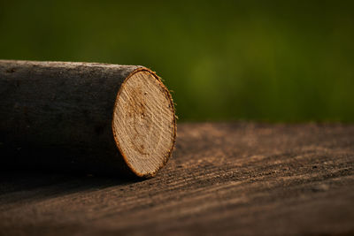 Close-up of log on table