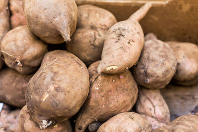 Close-up of vegetables