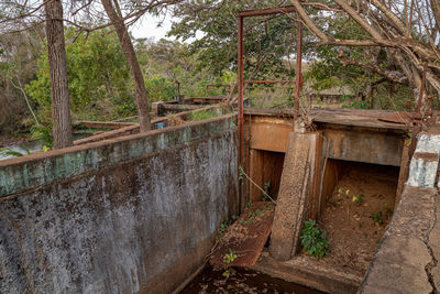 Abandoned bridge in forest