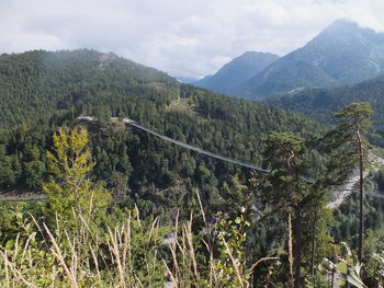 Scenic view of trees and mountains against sky