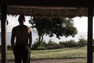 Rear view of man looking at field