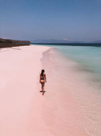 Rear view of woman on beach against sky