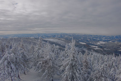 Winter forest top view. winter in the mountains.