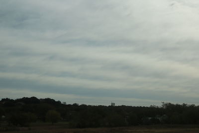 Trees on landscape against sky