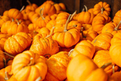 Close-up of pumpkins for sale in market