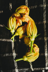 Close-up of yellow roses on plant