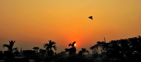 Silhouette birds flying against sky during sunset