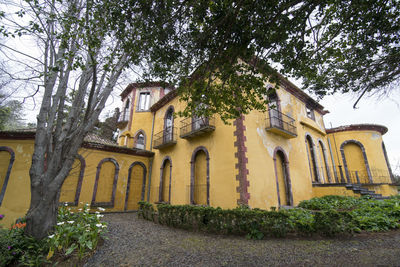 Low angle view of trees and historic building