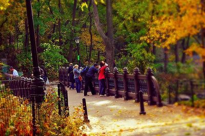 People walking in park during autumn