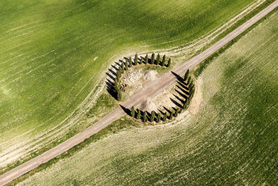 Aerial view of green landscape during sunny day