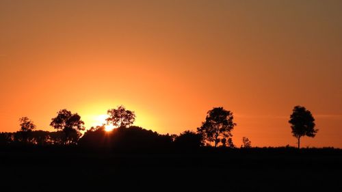 Silhouette trees on field against orange sky