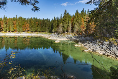 Upper lake of fusine, tarvisio. autumnal fire reflections. at the foot of the mangart