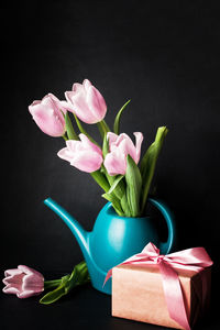 Close-up of pink tulip flowers against black background