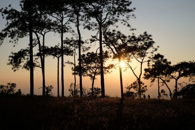 Silhouette trees on field against sky during sunset