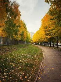 Footpath amidst trees against sky during autumn