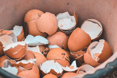 High angle view of shells in container