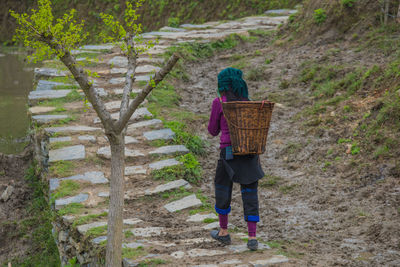 Rear view of woman walking on pathway at farm