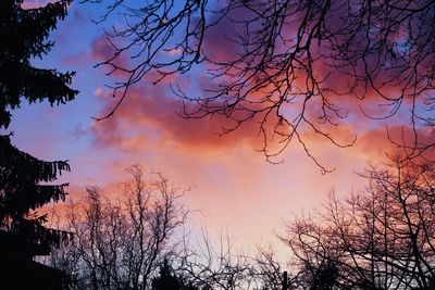 Low angle view of silhouette bare trees against sky