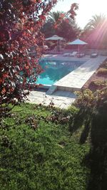 Swimming pool by trees against sky