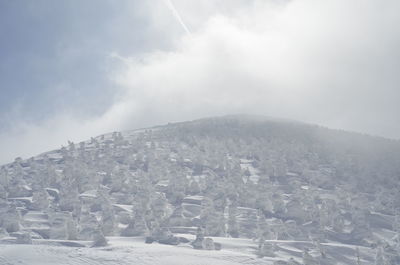 Snow covered townscape against sky