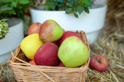 Close-up of apples in basket