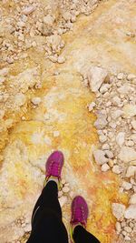 Low section of woman in pink shoes walking on arid landscape