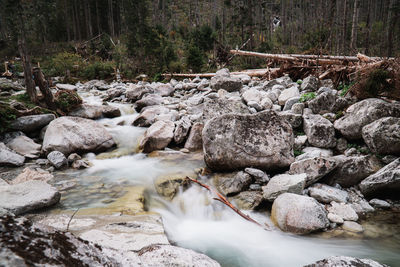 Stream flowing through rocks in forest