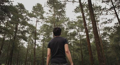 Rear view of man standing in forest