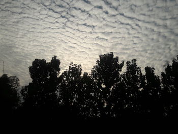 Silhouette of trees against sky at sunset