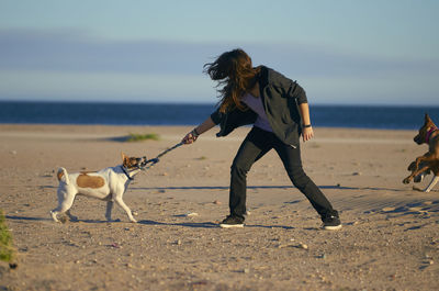 Dog on beach