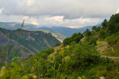 environment