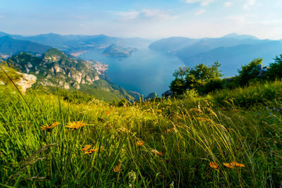 Wind over the lake