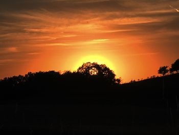 Silhouette trees against sky during sunset