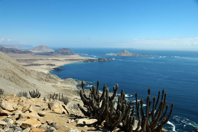 Scenic view of sea against blue sky