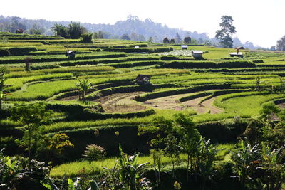 Nagari tuo pariangan, west sumatera indonesia