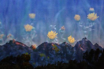Close-up of mountain against blue sky