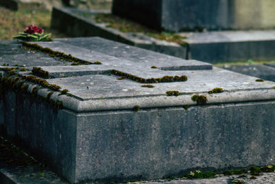 Close-up of cross in cemetery