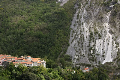 High angle view of trees and houses in town