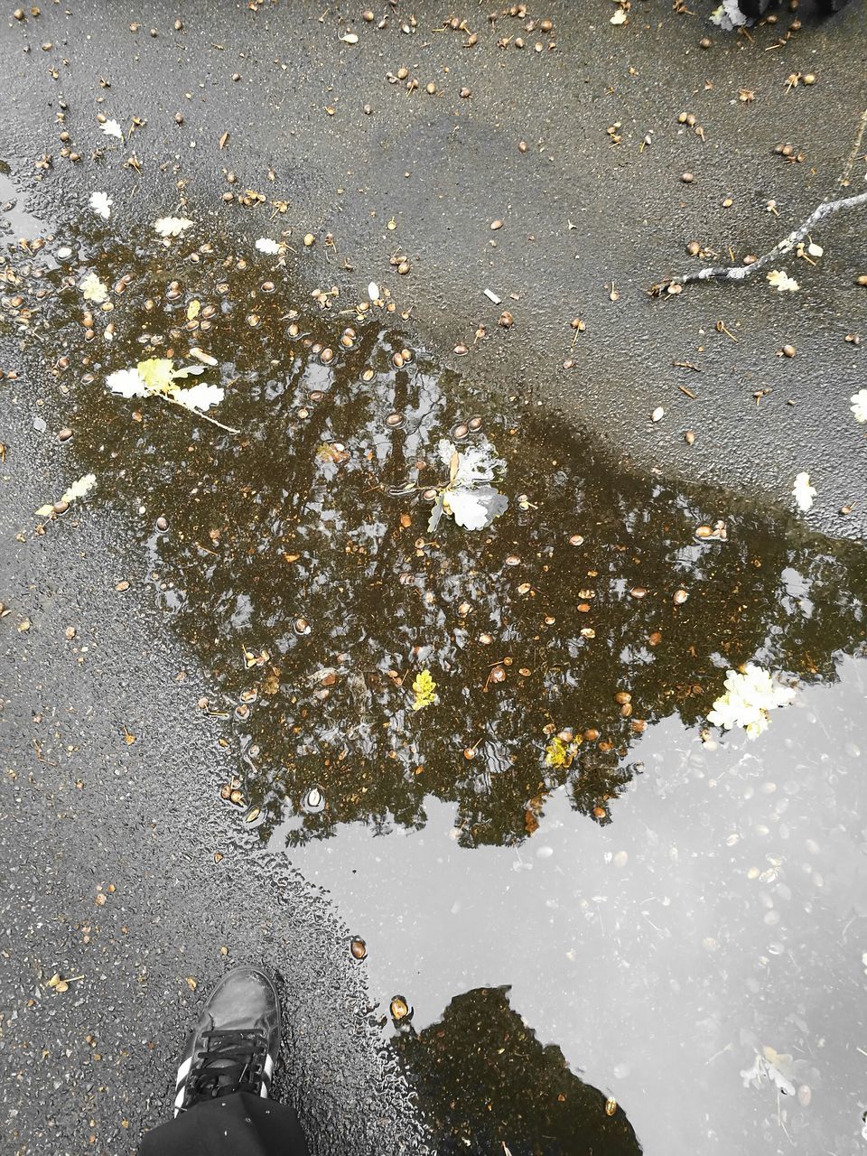 LOW SECTION VIEW OF PERSON STANDING BY PUDDLE ON ROAD