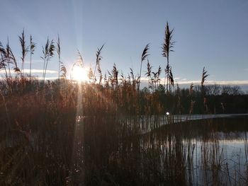 Scenic view of lake against sky during sunset