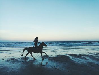 Woman riding horse on beach against sky during sunset