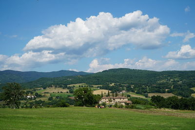 Scenic view of field against sky