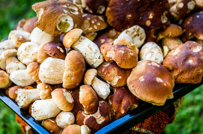 High angle view of mushrooms on barbecue