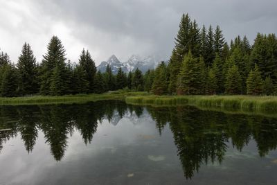 Scenic view of lake by trees against sky