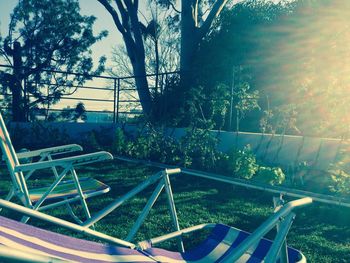 Swimming pool by trees against sky