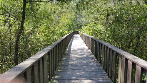 Footbridge amidst trees in forest