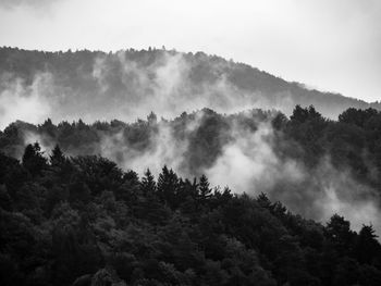 Low clouds on montains