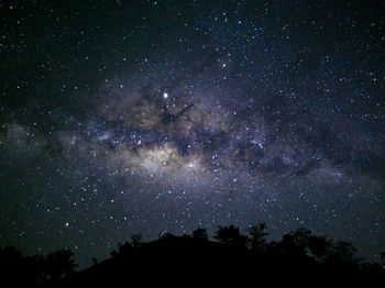 Low angle view of silhouette trees against sky at night