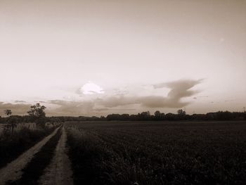 Road passing through field