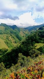 Scenic view of tree mountains against sky